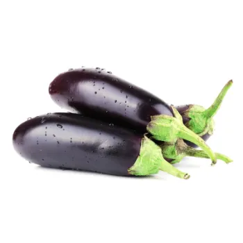 Fresh Brinjal 